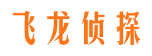 大通侦探